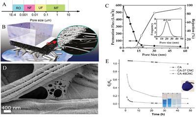 Multilayered Bio-Based Electrospun Membranes: A Potential Porous Media for Filtration Applications